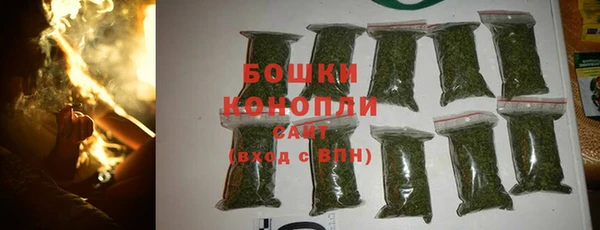 spice Богданович